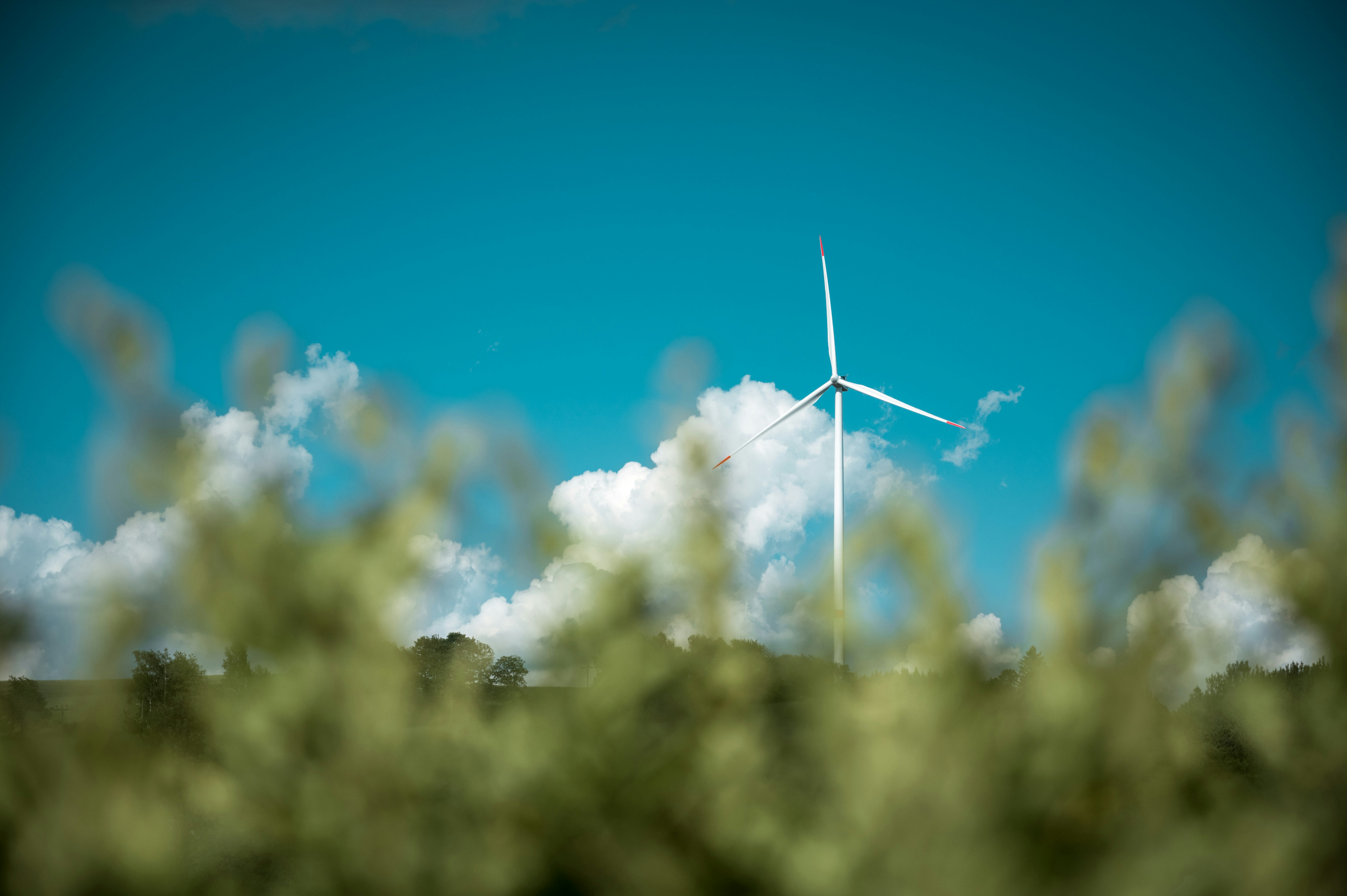 Wind turbine in a field